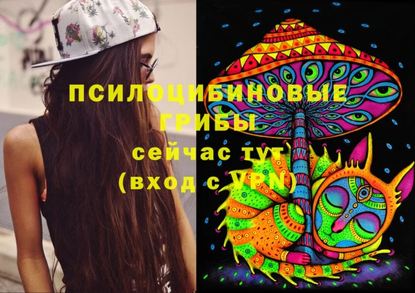 марки nbome Бикин