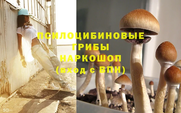 марки nbome Бикин