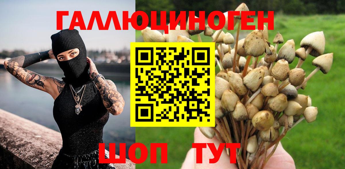 Галлюциногенные грибы MAGIC MUSHROOMS Карпинск