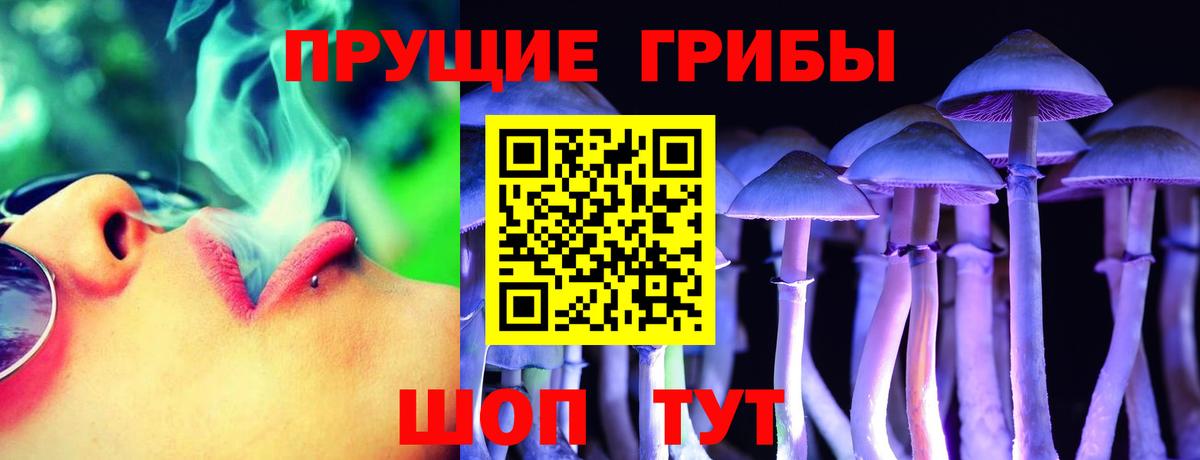 Галлюциногенные грибы Psilocybine cubensis  Вход с VPN  наркота  Карпинск 